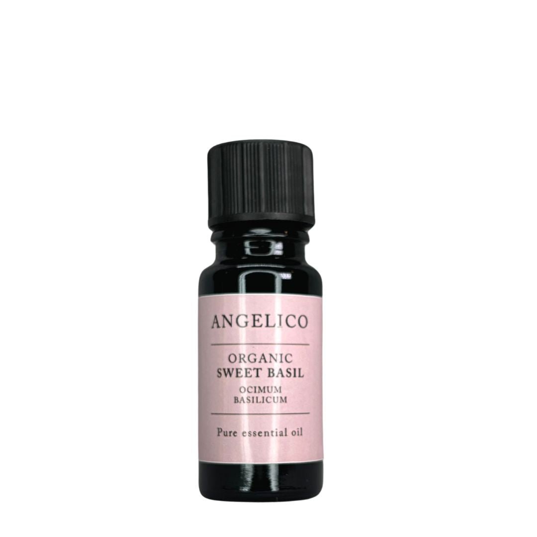 Sweet Basil Organic Essential Oil - Angelico