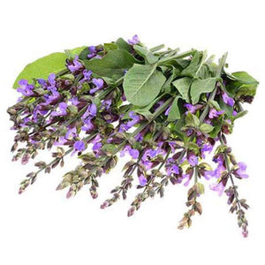 Clary Sage Organic Essential Oil - Angelico.London