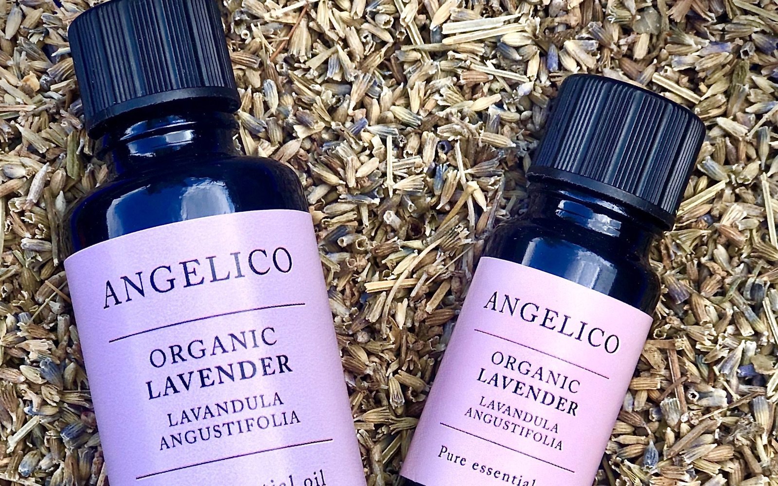 11 WAYS TO USE LAVENDER ESSENTIAL OIL EASILY & EFFICIENTLY - Angelico