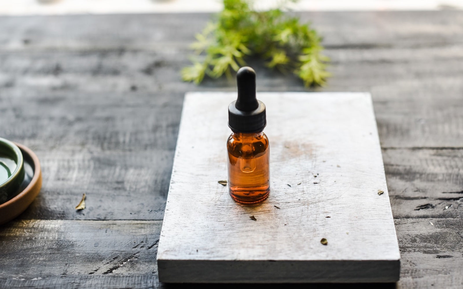 AROMATHERAPY FOR ALL - Angelico