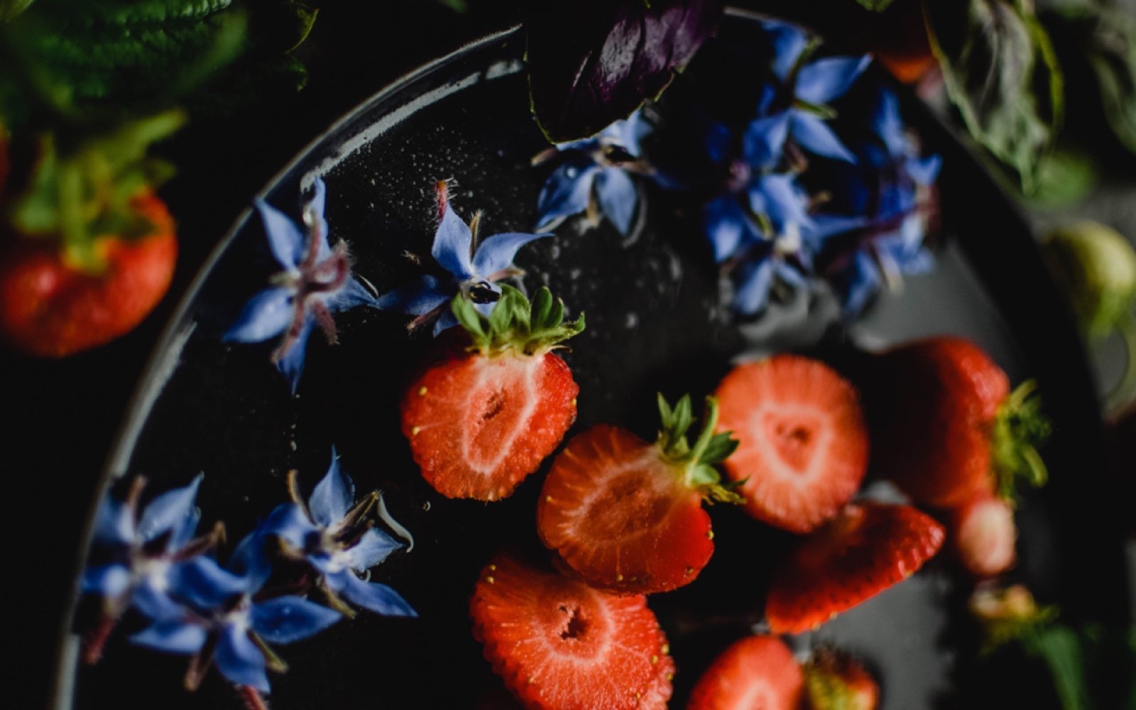 ALL ABOUT BORAGE - Angelico