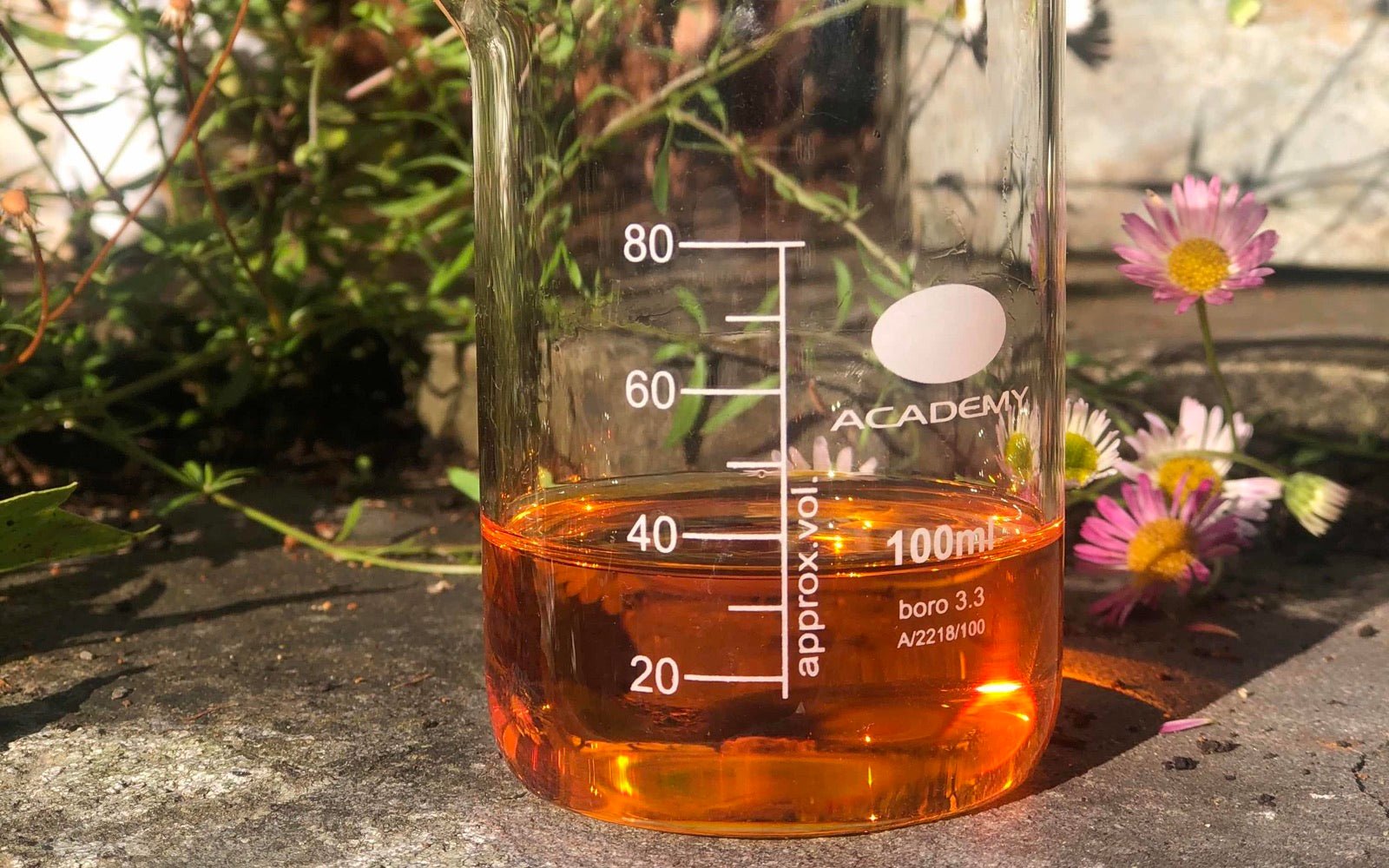 ALL ABOUT MANDARIN - Angelico