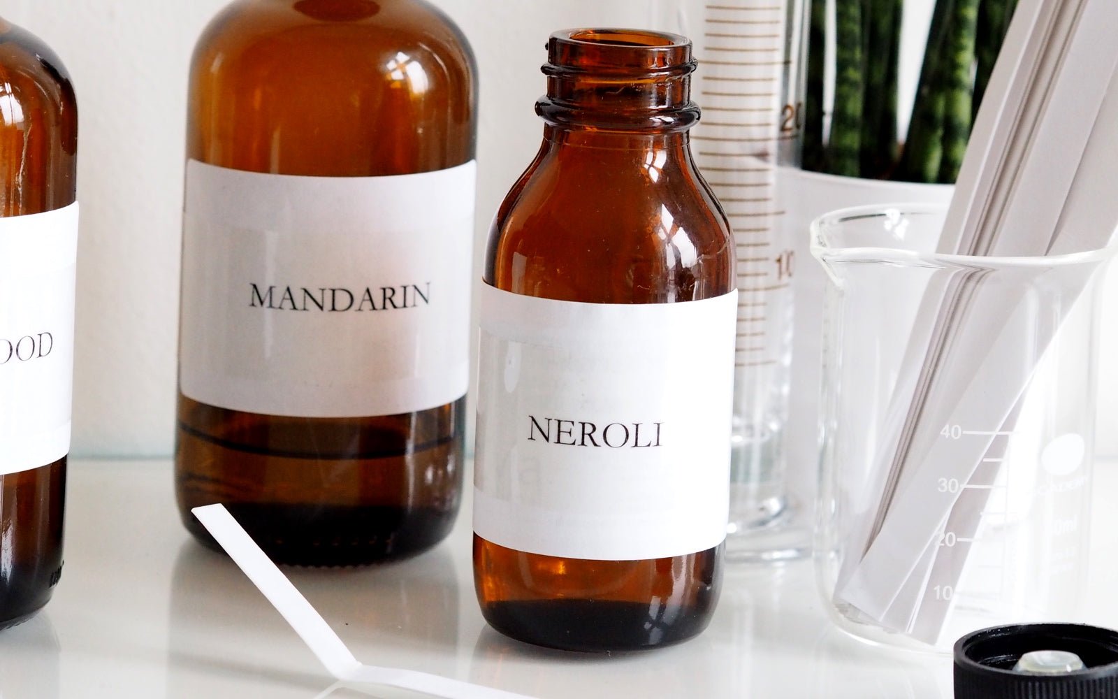 BLENDS WELL WITH …….. - Angelico