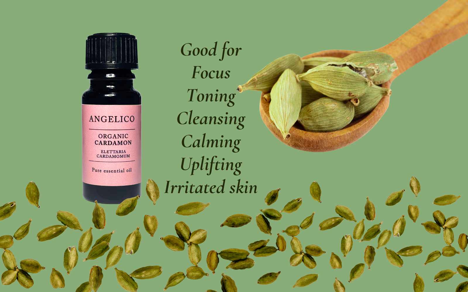 Cardamon Essential Oil - Angelico