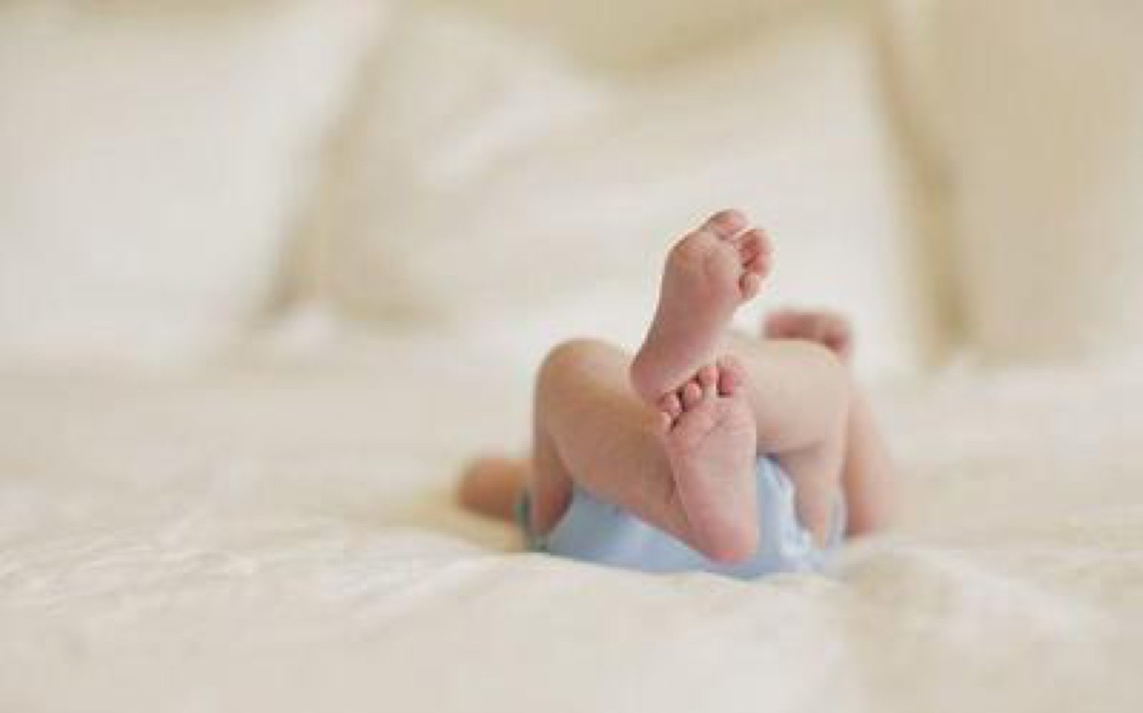 JOJOBA - 10 key things you should know about it - Angelico