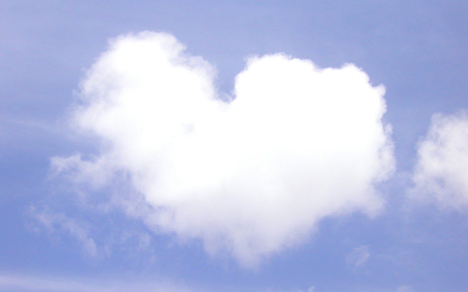 LOVE, LOVE, LOVE. - Angelico