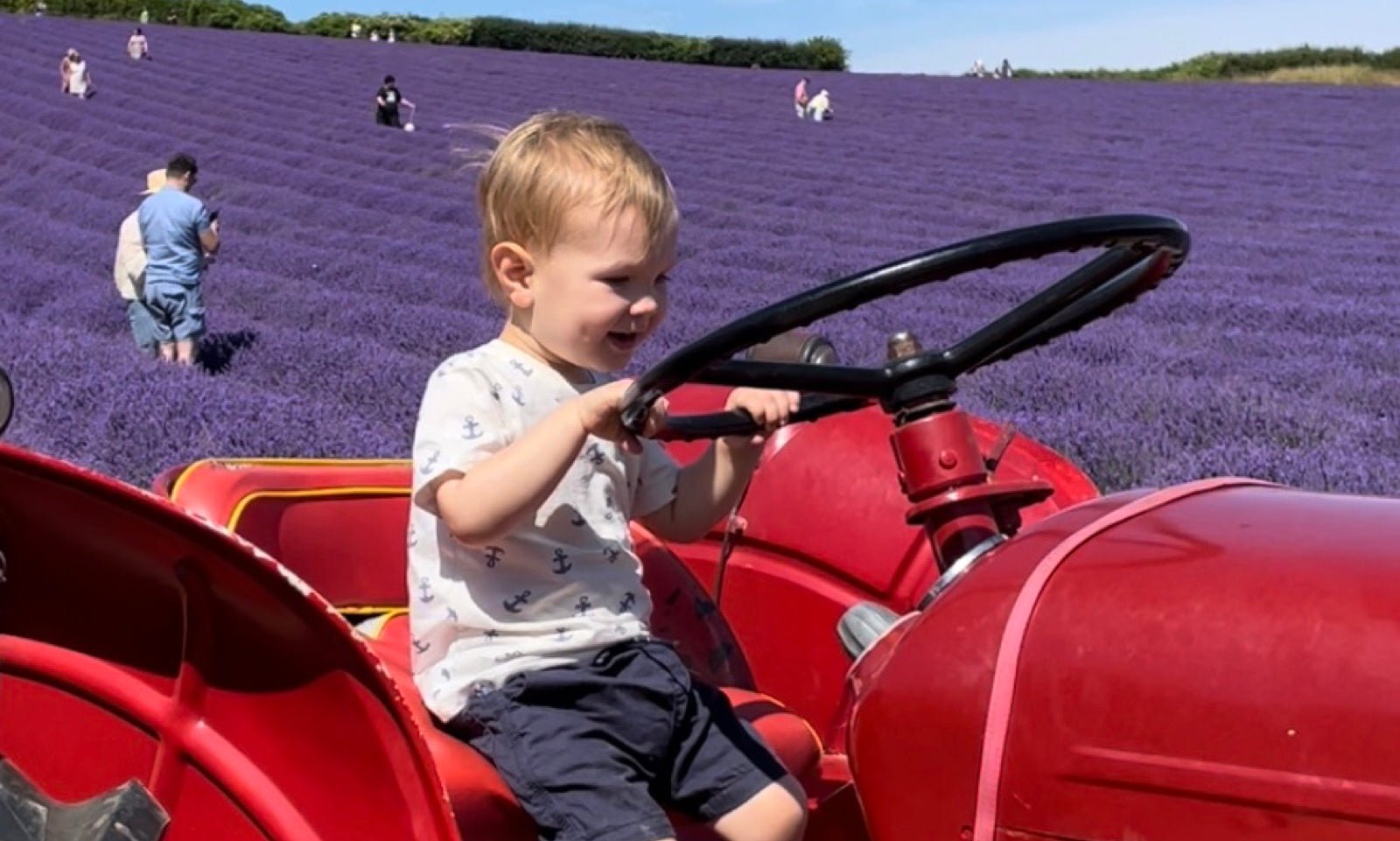 MY LAVENDER MONTH - Angelico