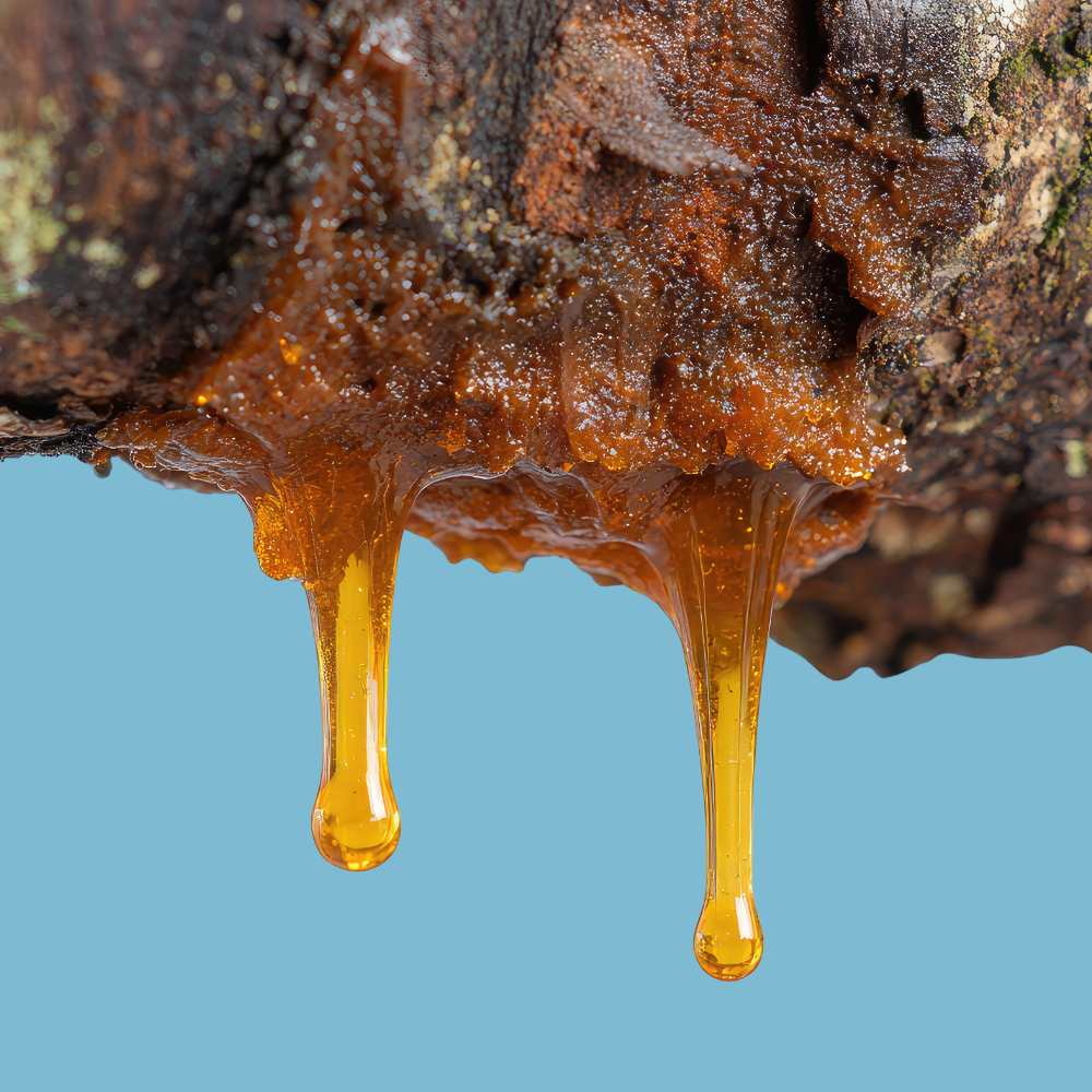 Benzoin Organic Resin
