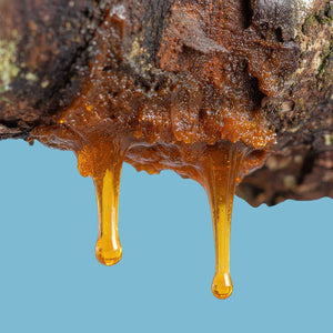 Benzoin Organic Resin