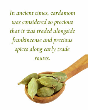 Cardamon Organic Essential Oil