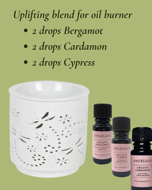 Cardamon Organic Essential Oil