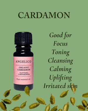 Cardamon Organic Essential Oil