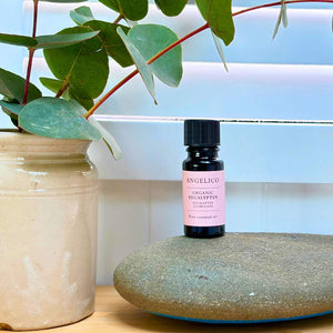 Eucalyptus Organic Essential Oil 10ml - Angelico