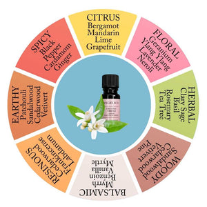 Natural Perfume Workshop - Angelico