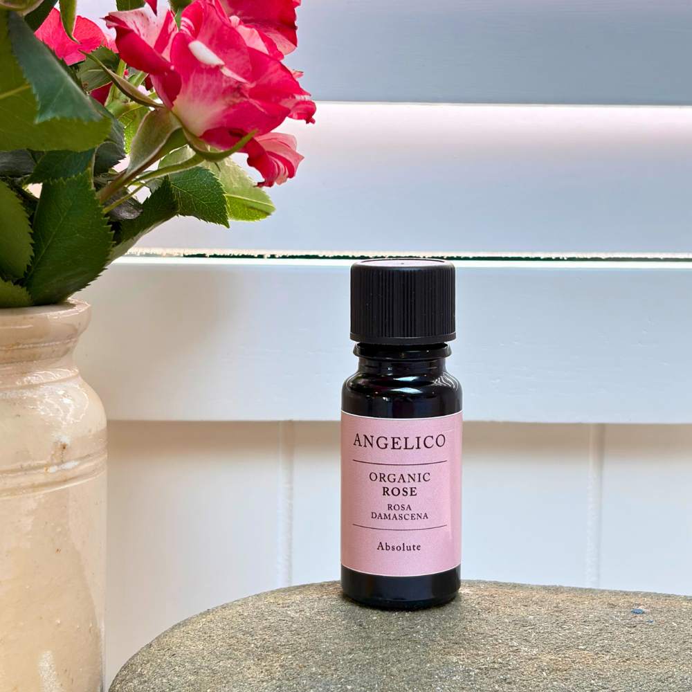 Rose Absolute Essential Oil 2.5ml - Angelico