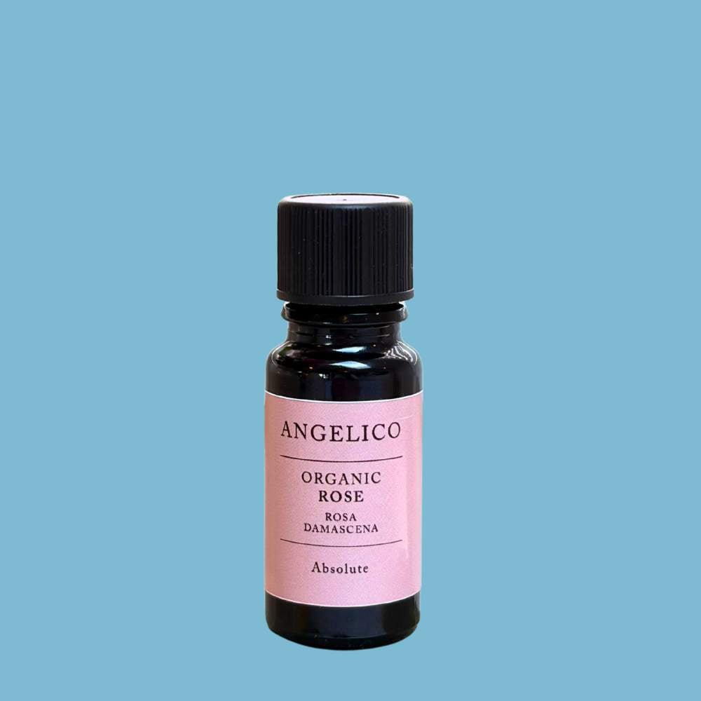 Rose Absolute Essential Oil 2.5ml - Angelico