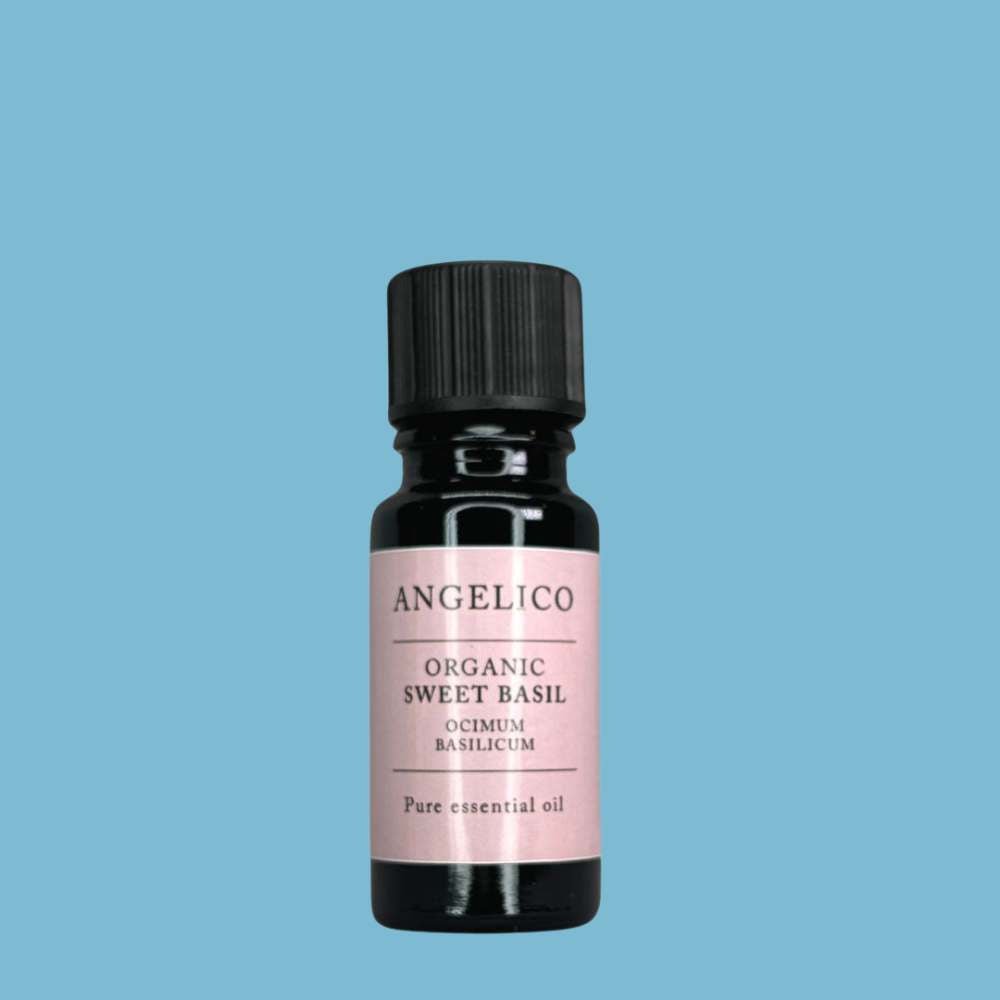 Sweet Basil Organic Essential Oil 10ml - Angelico