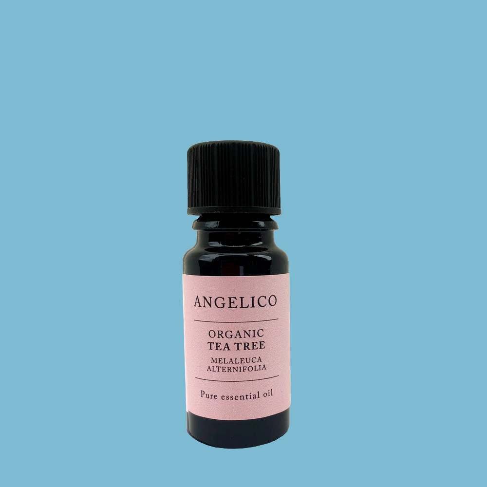 Tea Tree Organic Essential Oil 10ml - Angelico