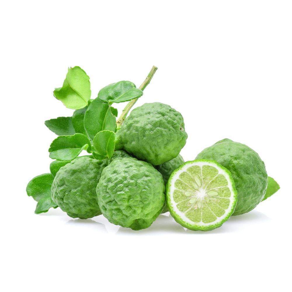 Bergamot Organic Essential Oil - Angelico.London