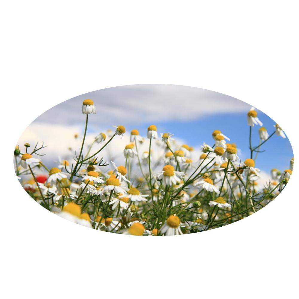 Chamomile Organic Essential Oil - Angelico.London