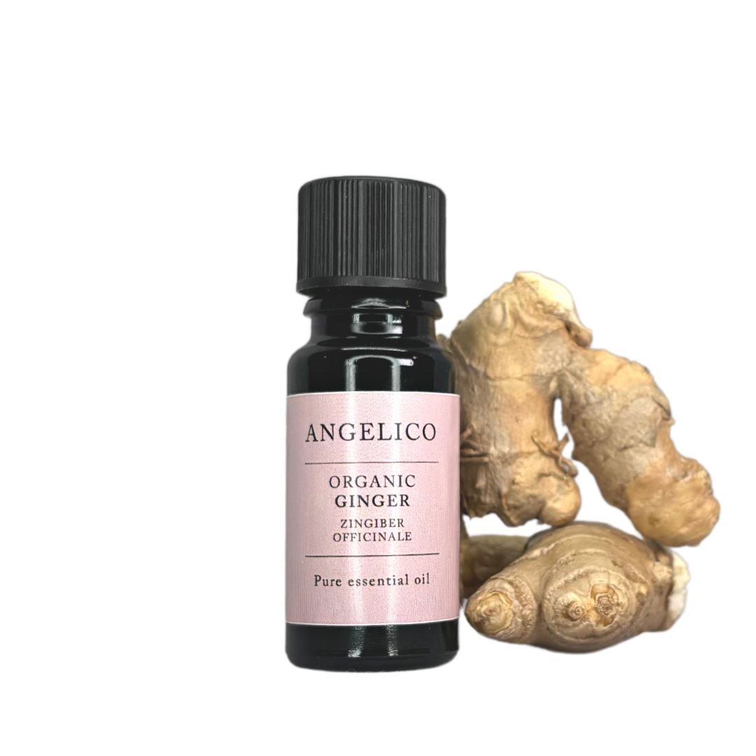 Ginger Organic Essential Oil - Angelico