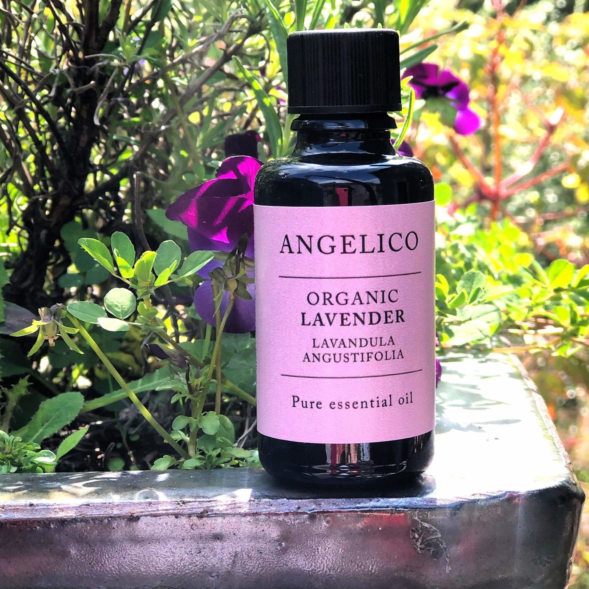Lavender Organic Essential Oil - Angelico.London