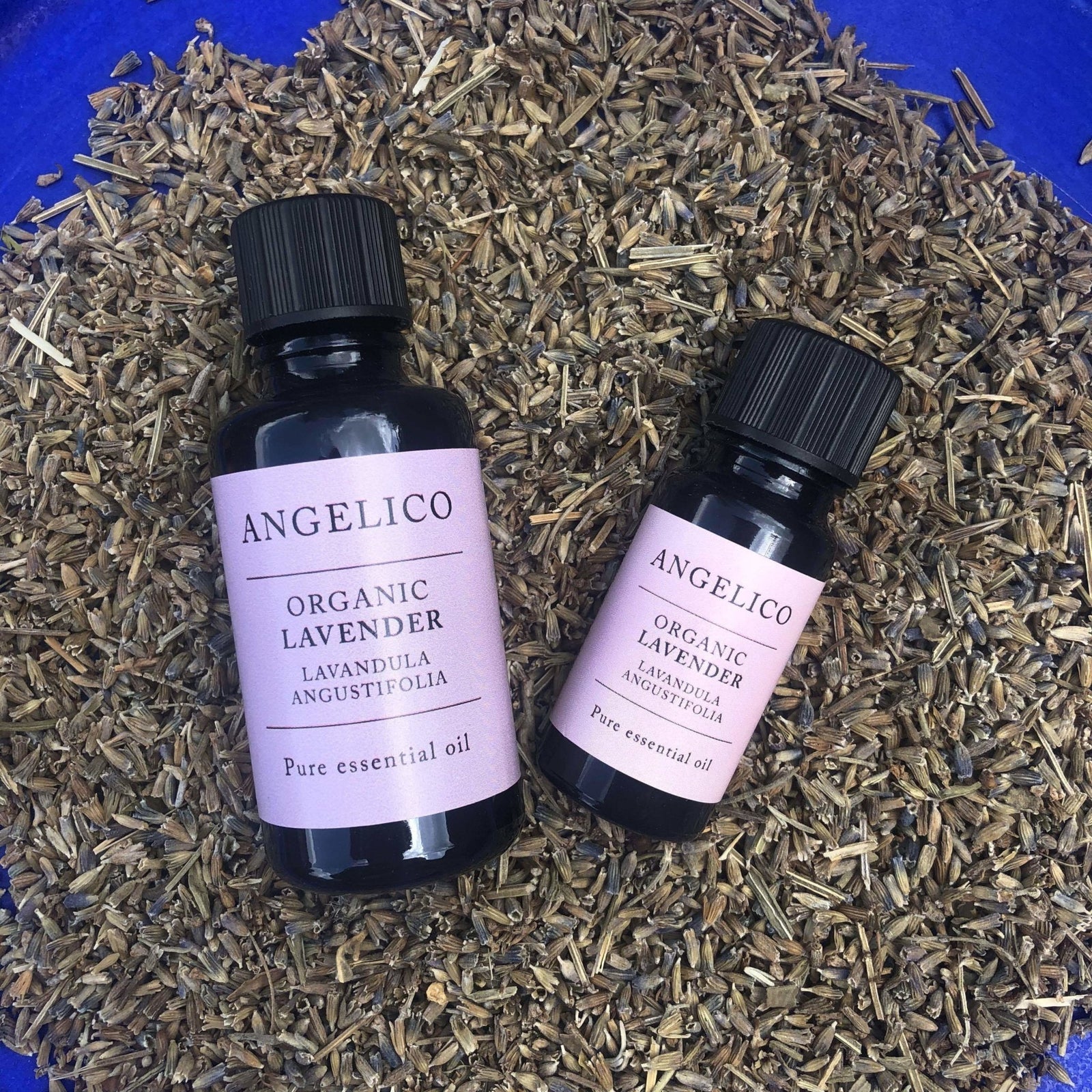 Lavender Organic Essential Oil - Angelico.London