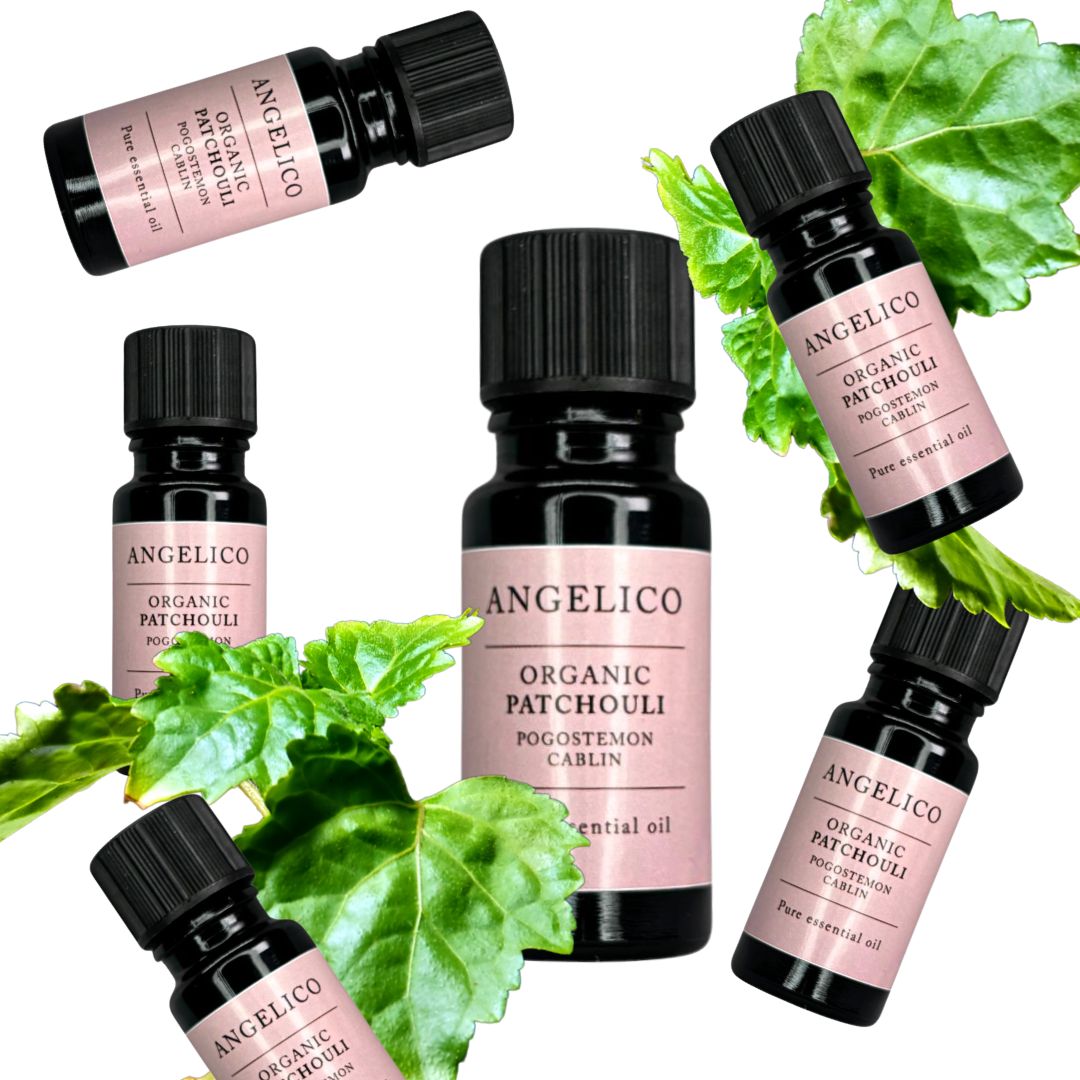 Patchouli Organic Essential Oil - Angelico