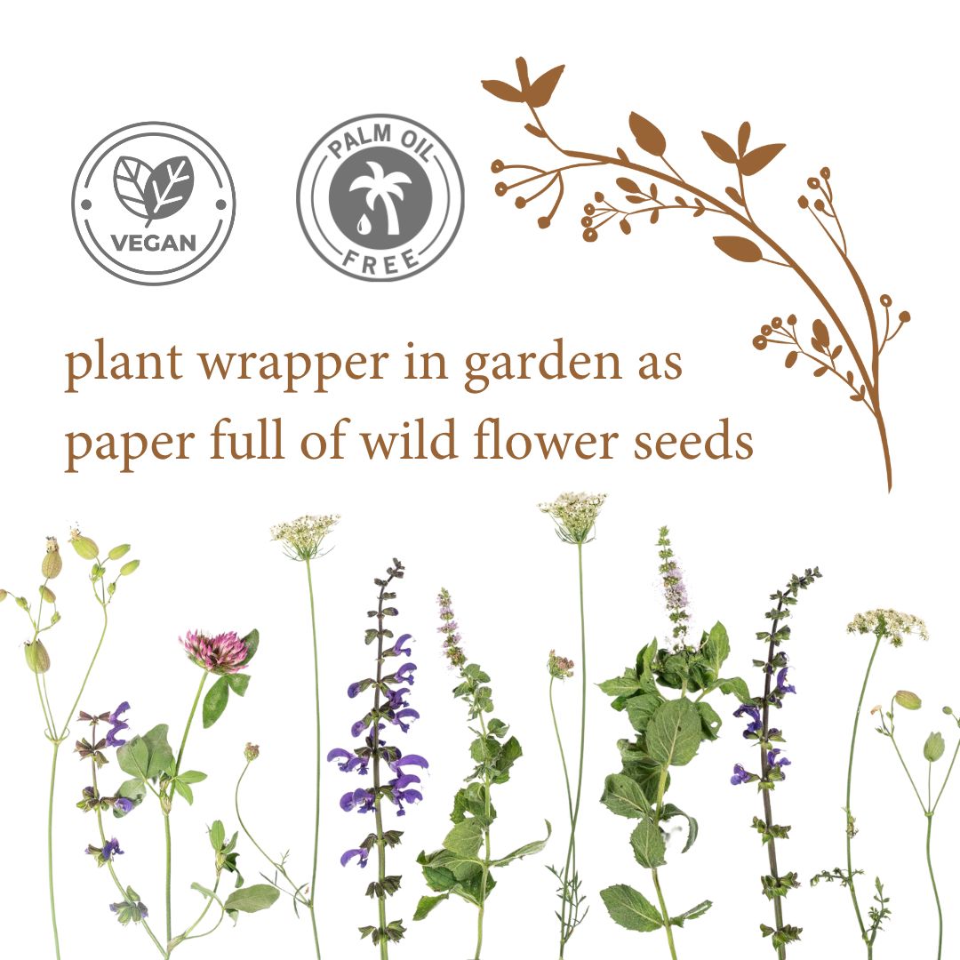 Soap Gift Set - Angelico